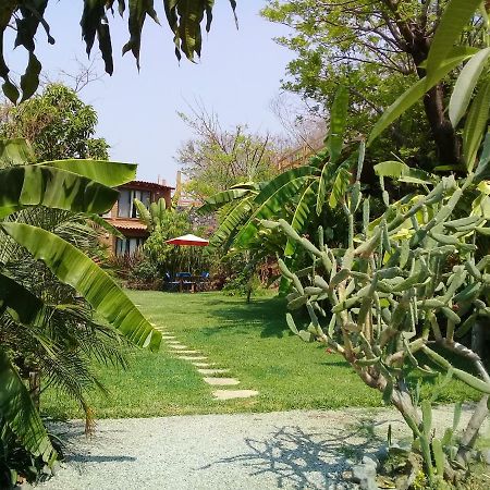 Cabanas El Nido De La Huilota Hotell Tepoztlán Eksteriør bilde